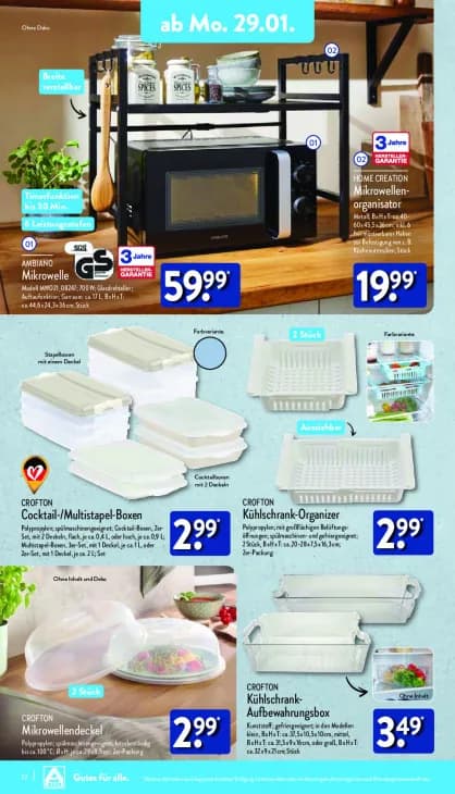 Mikrowellenorganisator