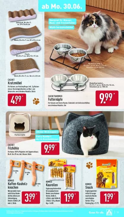 Kaffee-Kauholzknochen