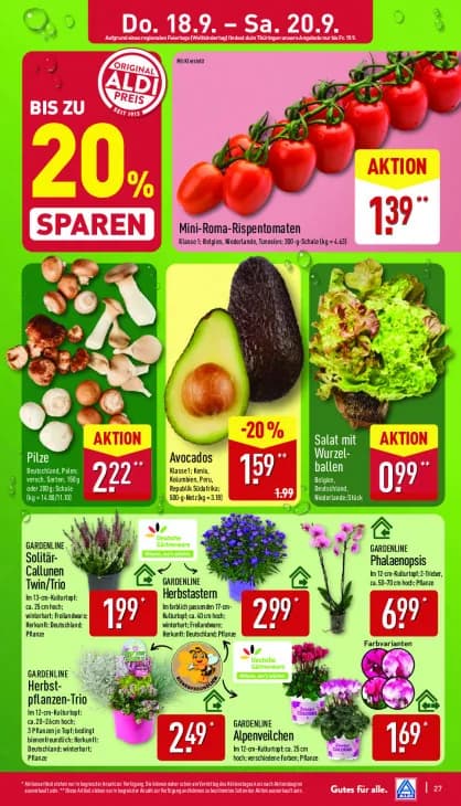 Mini-Roma-Rispentomaten