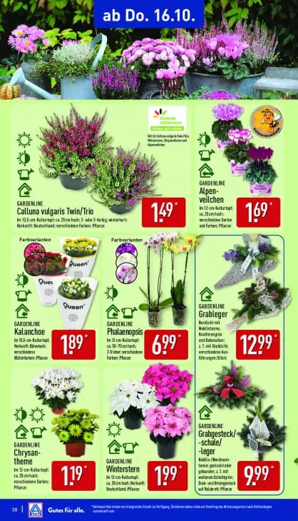 Grabgesteck/-schale/-leger