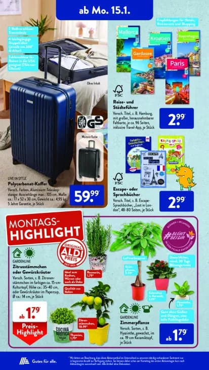 Zitrusstämmchen oder Gewürzkräuter