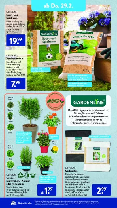 Gewürz-Stämmchen, -Kräuter oder Ranunkeln