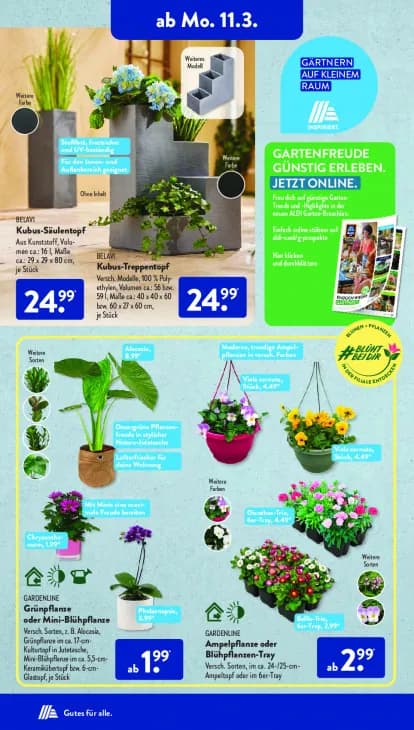 Ampelpflanze oder Blühpflanzen-Tray