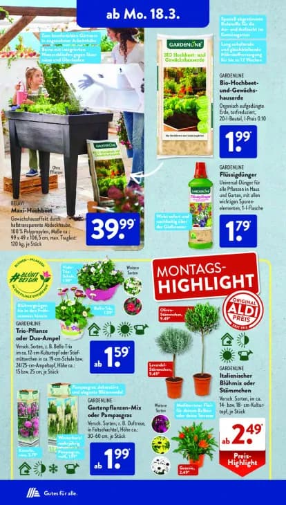 Italienischer Blühmix oder Stämmchen