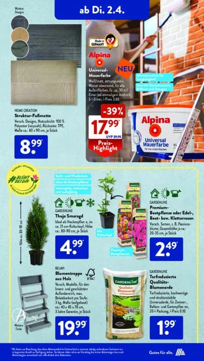 Premium-Beetpflanze oder Edel-, Beet- bzw. Kletterrosen