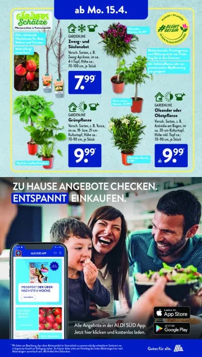 Zwerg- und Säulenobst