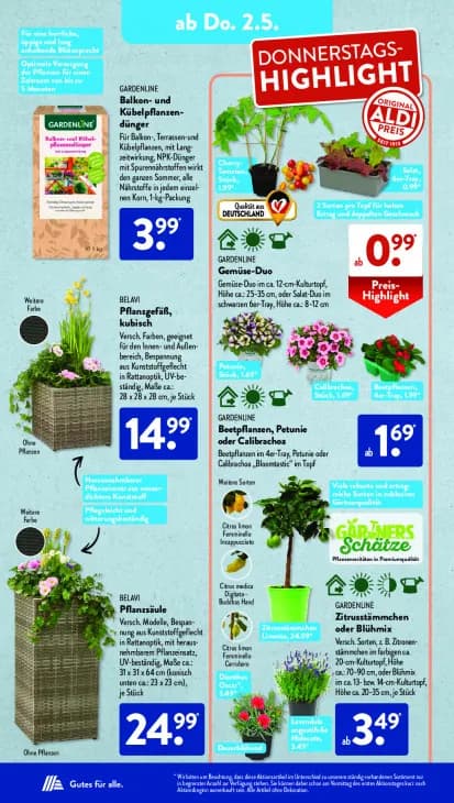 Beetpflanzen, Petunie oder Calibrachoa