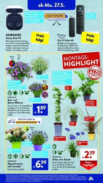 Rispenhortensie oder Lavendel