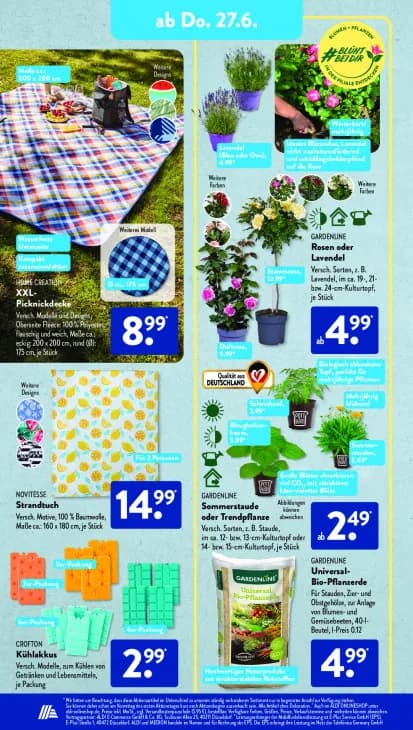 Sommerstaude oder Trendpflanze