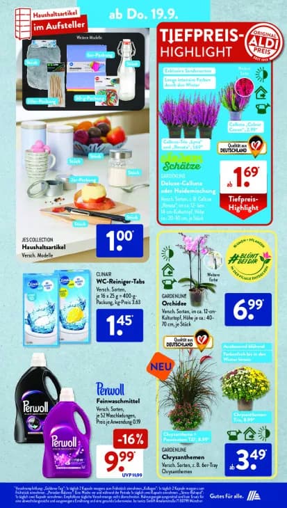 Deluxe-Calluna oder Heidemischung