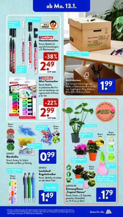 Zimmerpflanze "Tropical Nature"