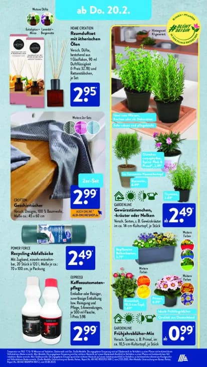 Raumduftset mit ätherischen Ölen