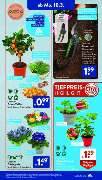 Garten- und Rosenschere