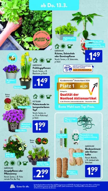 Kräuter, Salatschale oder Gemüsepflanze