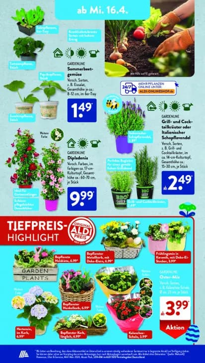 Bepflanzte Holzkiste