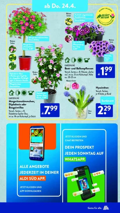 Beet- und Balkonpflanzen