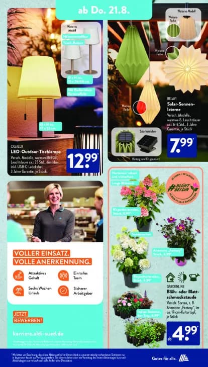 Solar-Sonnen-laterne