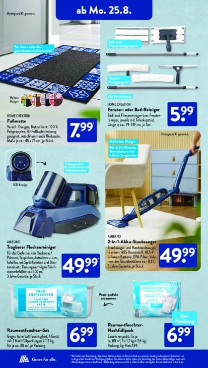 Fenster- oder Bad-Reiniger