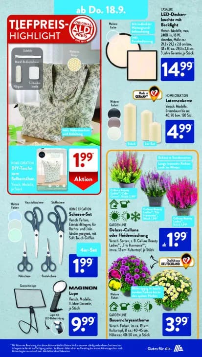 Deluxe-Calluna oder Heidemischung