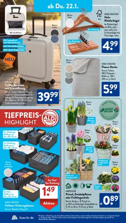 Frühlingsschale in Korb