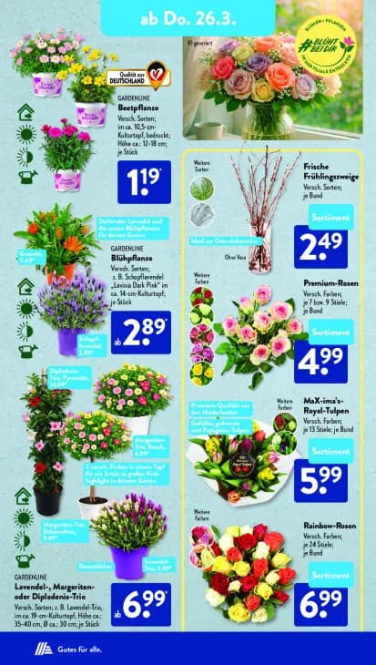 MAX-ima's-Royal-Tulpen