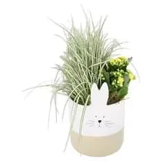 Bepflanzter Kermamiktopf Hasengesicht